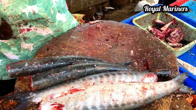 Barracuda Fish Cutting Skills|1kg₹250/- $3.34|Thoothukudi Hudson Fastest Fish Butcher|#royalmariner смотреть онлайн