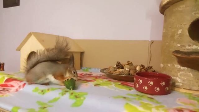 Афонькин дворик или личная полянка смотреть онлайн