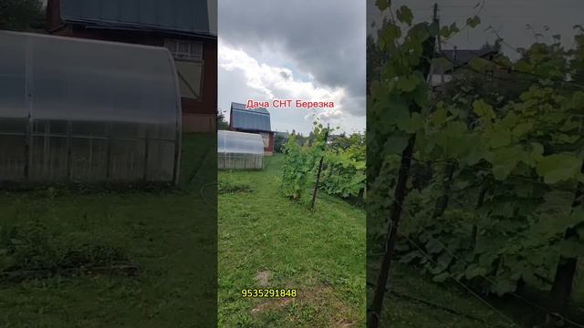 Отличное место для отдыха, дача 45 м² СНТ Березка, 8920272838