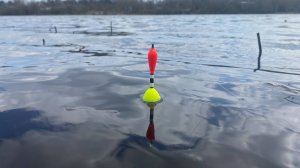 Рыбалка из прошлого. Классическая ловля на поплавочную удочку на реке Волхов 2022