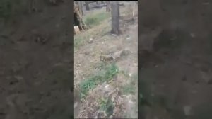 Худший бронежилет для СВО (Модуль-Монолит) часть 3