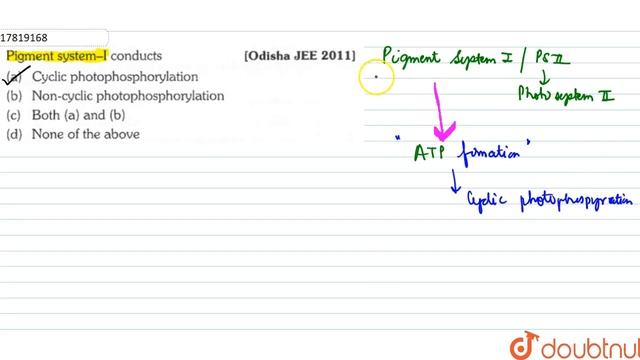Pigment system-I conducts смотреть онлайн