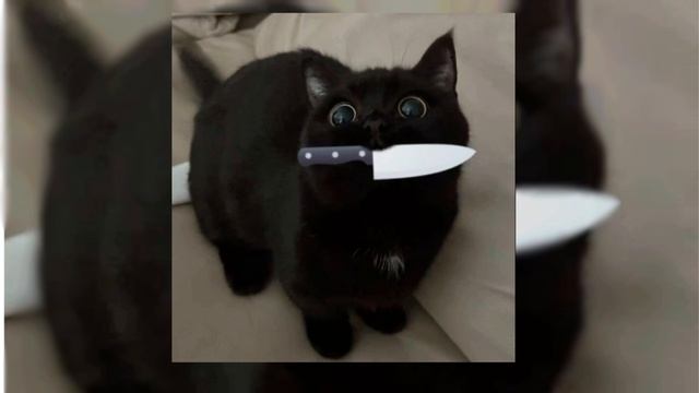 Рандом плейлист🌹