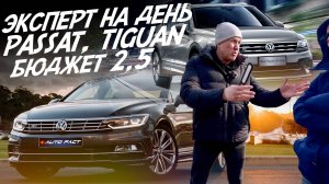 Эксперт на день! VW Passat B8 и VW Tiguan! Автоподбор Autofact
