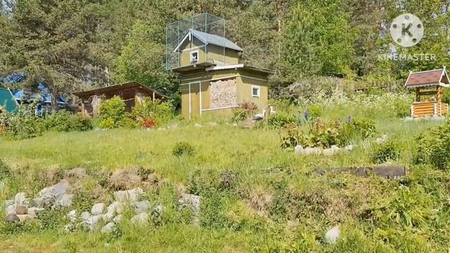 ЛЮБОВЬ и ГОЛУБИ // Где снимали фильм. смотреть онлайн