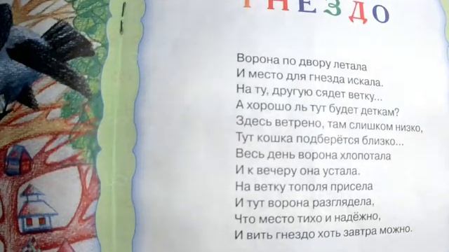 Воронье гнездо. [Волшебство книг] смотреть онлайн