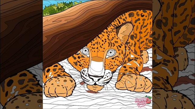 ASMR | Leopard - Coloring - Relaxing Music смотреть онлайн