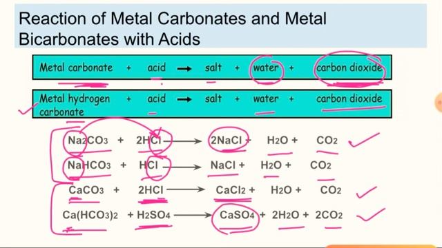 Class 10, Science, ch-2 Acid Bases and Salts, part-3 Chemical Properties of Acid and Bases смотреть онлайн