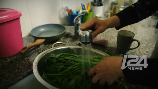 The earthy flavors of Khubeiza, a Palestinian dish made from the mallow plant смотреть онлайн