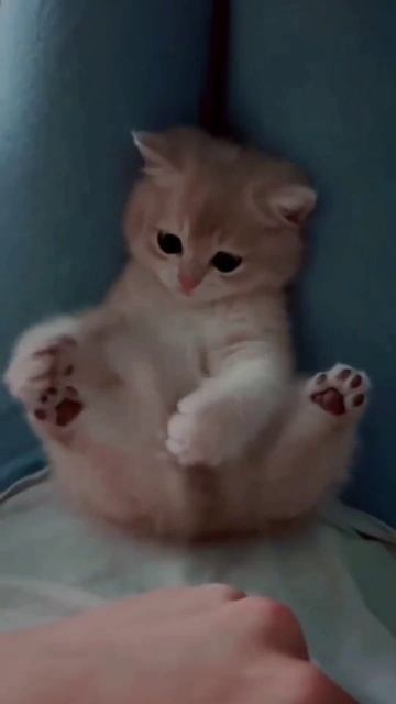 colour of life #shorts смотреть онлайн