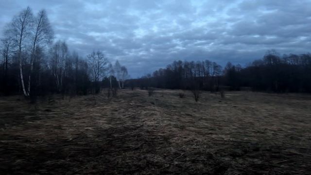 Открытие охоты на вальдшнепа. смотреть онлайн