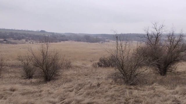 Покатушка вокруг ставков | Новые цены на металл | Позвали на дачу.