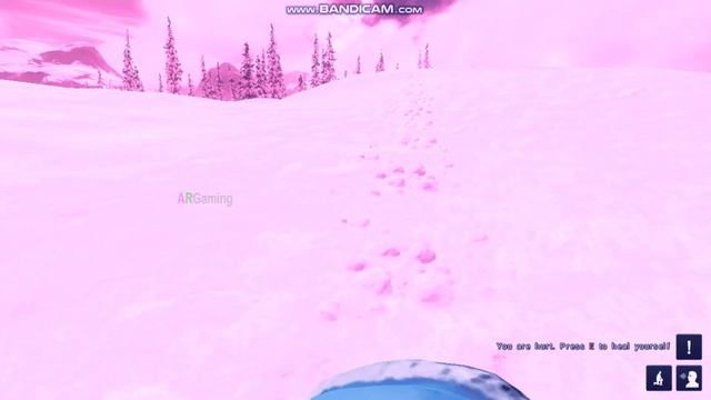 🔴The Hunter Classic🔴◀️BEAR ATTACK▶️||🔴Solo 🙍 Hunting 🐇🐏🐂🔴