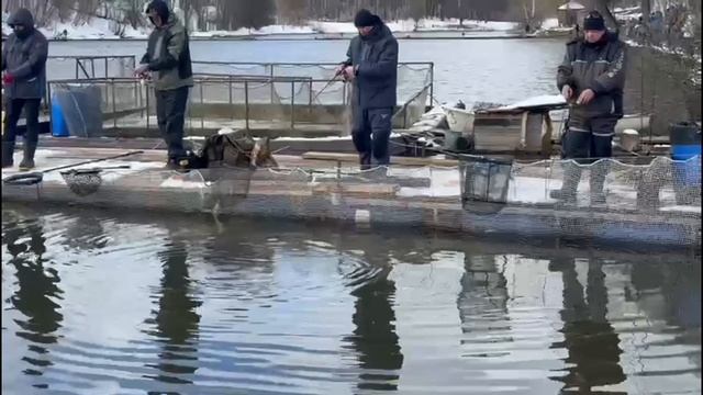 Поимки Спорт зона смотреть онлайн