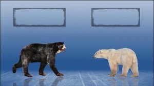 ANIMAL SIZE COMPARISON | LIVING VS EXTINCT