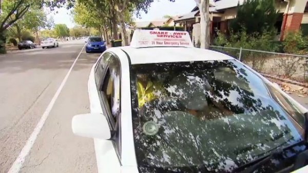 Eyes open 2_5.2kaz A deadly job video