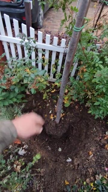 ошибки при посадке в контейнере часть 2 #ошибкиприпосадкевконтейнере смотреть онлайн