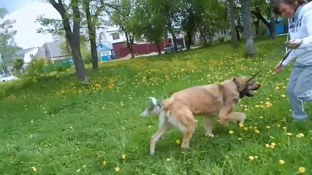 Копия видео "DSCN8224" смотреть онлайн