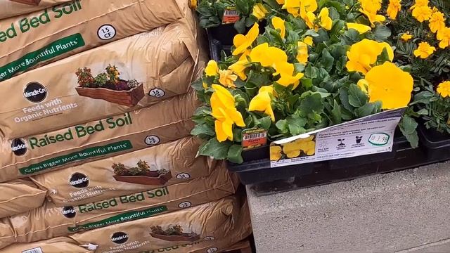 Spring time flowers now available at Lowes Nursery and Garden Center смотреть онлайн