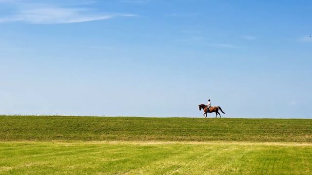 Мы пойдем по полю вдвоем
