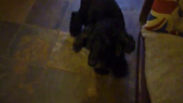 Sunny xxx смотреть онлайн