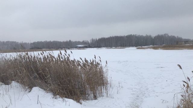 Пришла весна. Сбор камыша пошёл не по плану смотреть онлайн