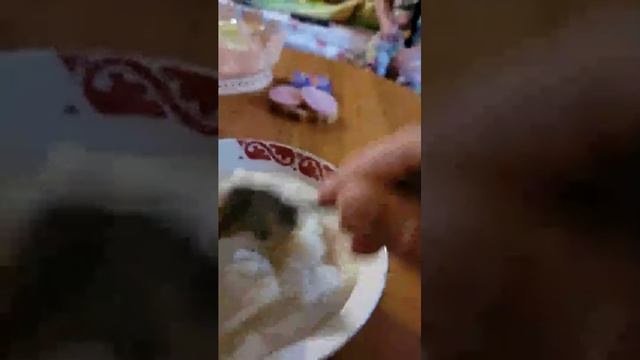 ЕМ смотреть онлайн