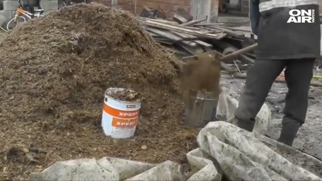 Като на филм: Вълци нападат ферми във Варненско и удушават животните смотреть онлайн