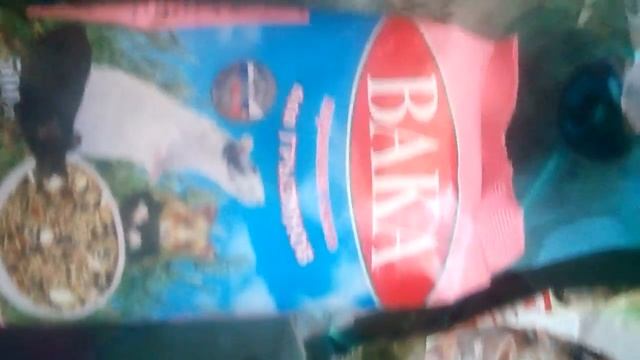 Мой покупочки для хомяка🐹🐭😘❤👛👜 смотреть онлайн