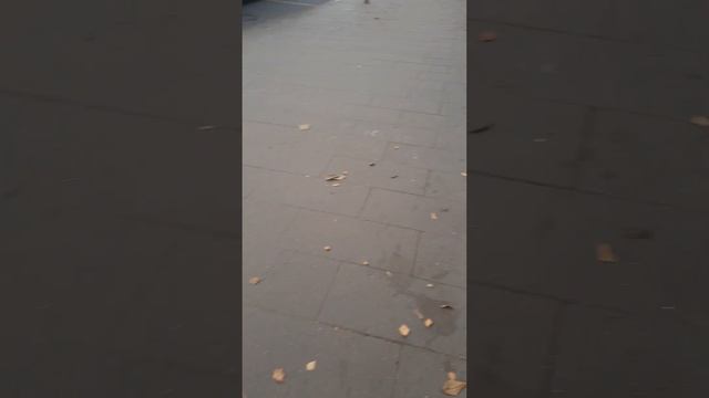 Я ЦЕНТРЕ ГОРОДА.@Danya579 смотреть онлайн