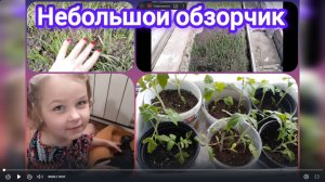 Небольшой обзорчик. Теплица, проблемы с рассадой, котики! Влог.