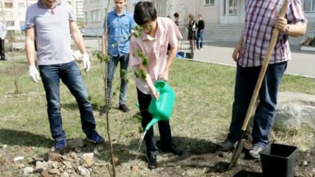 Новая липовая аллея во дворе школы № 21 смотреть онлайн