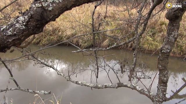 Ловля щуки на речке. Александр Рыжов