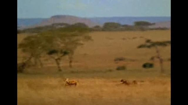 ФИНИШ УДАЛСЯ смотреть онлайн