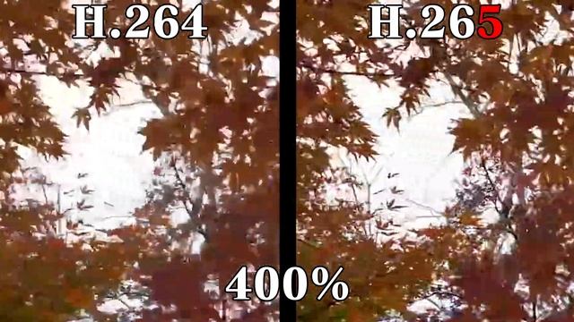 画質比較 H 264 vs H 265 Image Quality смотреть онлайн