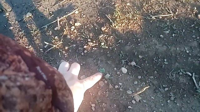 мой первый огород смотреть онлайн