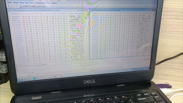 Тест программы Immo Off