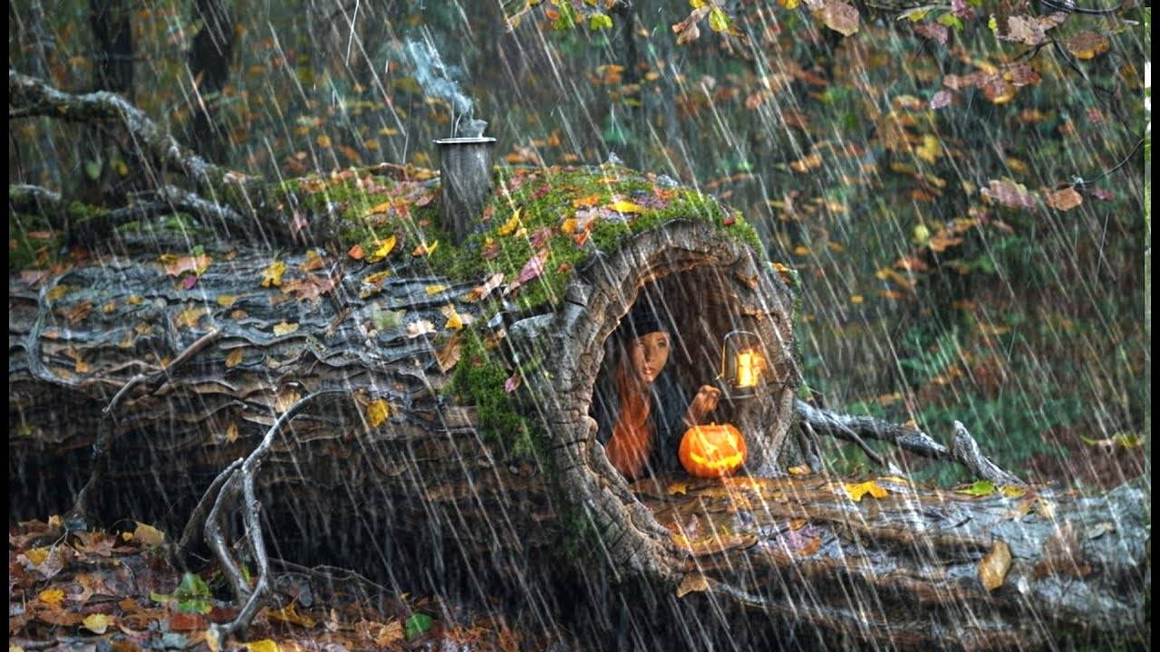 КЕМПИНГ В СИЛЬНЫЙ ДОЖДЬ И ГРОЗУ // Попытка построить укрытие от дождя смотреть онлайн