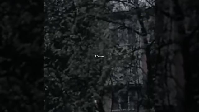 Я свободен смотреть онлайн