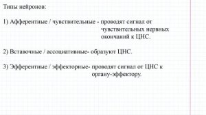 58 Общая характеристика НС