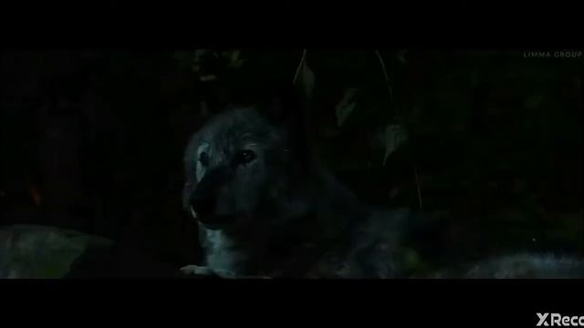 Чёрный дельфин |REMIX| смотреть онлайн