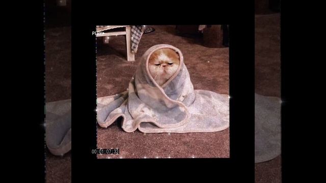 tenderlybae - Ломай смотреть онлайн
