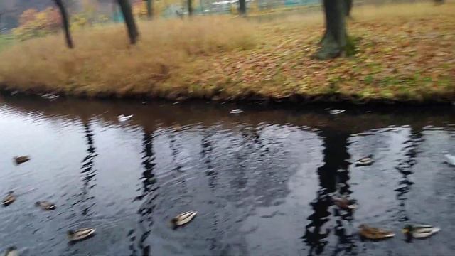 Таврический Сад смотреть онлайн