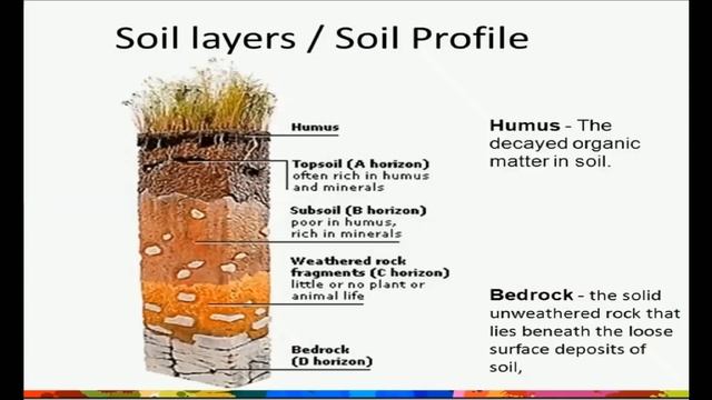 SOIL | Its Types and Characteristics смотреть онлайн