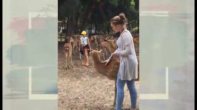 Берешь и любишь Лянтор Семья Нурмашевы хр 15,00 Ханты Мансийск Автор Ефременко смотреть онлайн