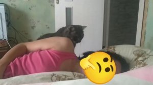 Каждое утро Тишка приходит и будит меня🥖