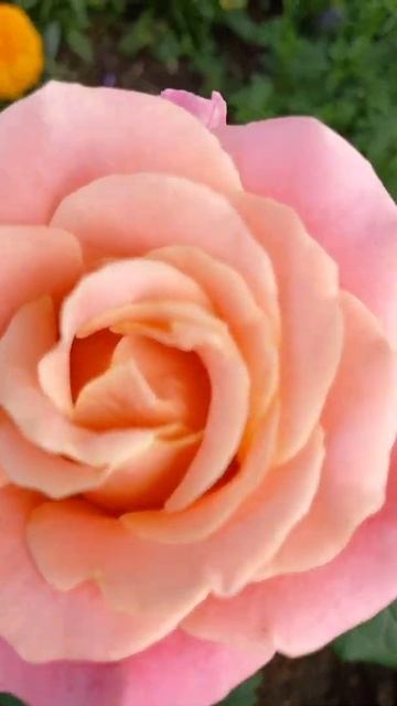 10 июля 2022 г. смотреть онлайн