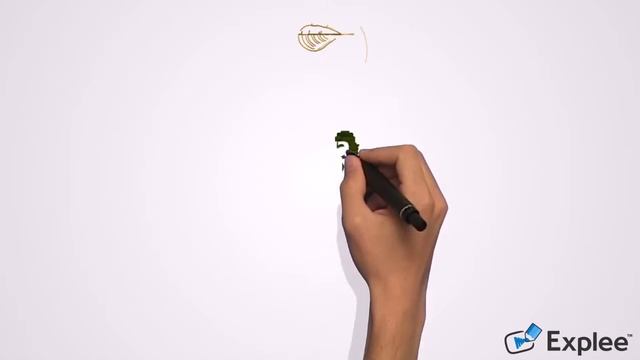Garnier Ultra Doux смотреть онлайн