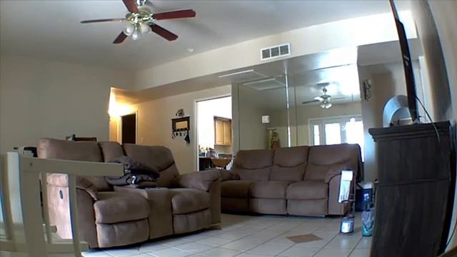 Scaring Mexican mom with Blink camera - Miguel Renovato смотреть онлайн