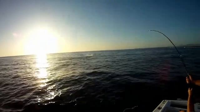 crystal marlin.avi смотреть онлайн